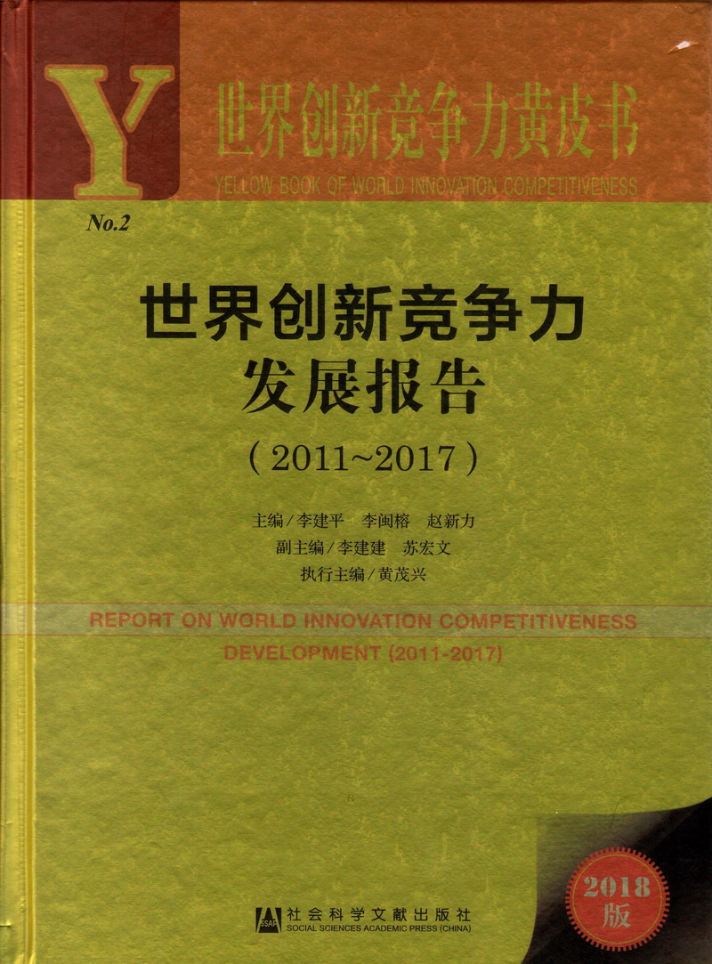 啊啊啊啊操世界创新竞争力发展报告（2011-2017）