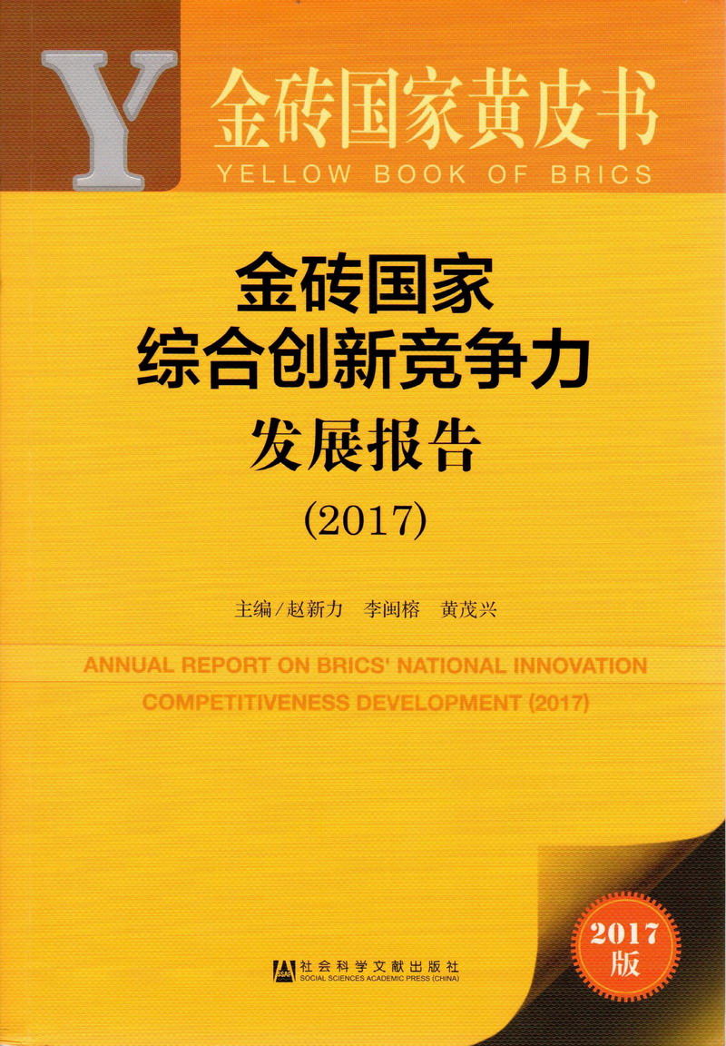 免费看操逼视频金砖国家综合创新竞争力发展报告（2017）